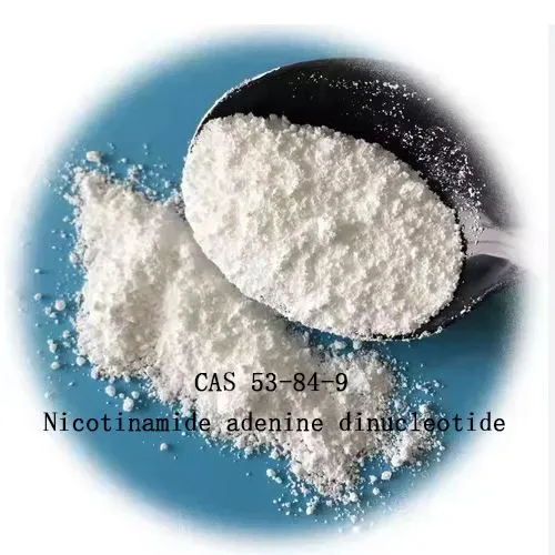 99% Nicotinamide adenine dinucleotide nad עבור אנטי אייג'ינג CAS 53-84-9