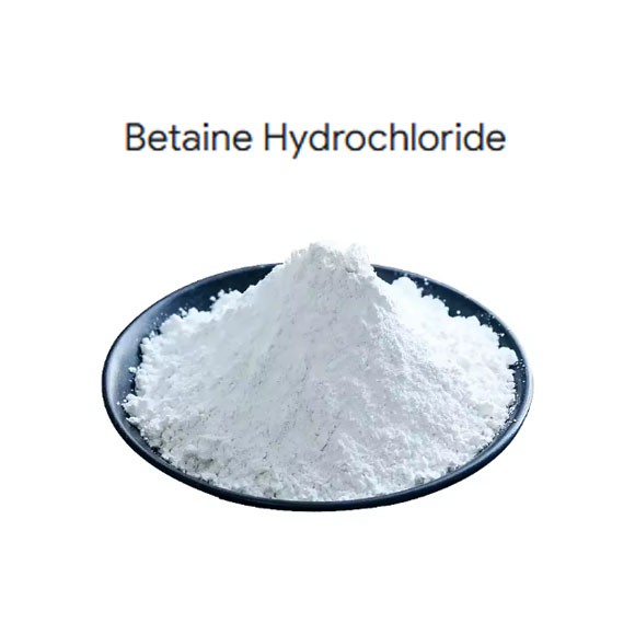 betaine hcl supplement betaine hcl supplement
