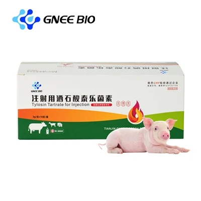 הזרקת Tylenol Tartrate עוזרת לבריאות החזיר